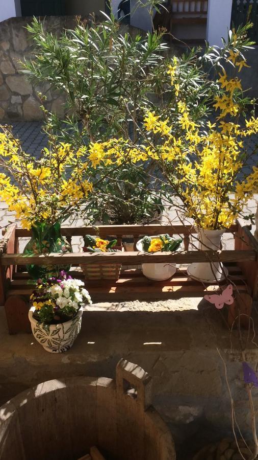 Falubíró Vendégháza Bekolce Esterno foto